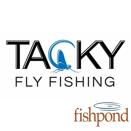 Tacky (Fishpond)